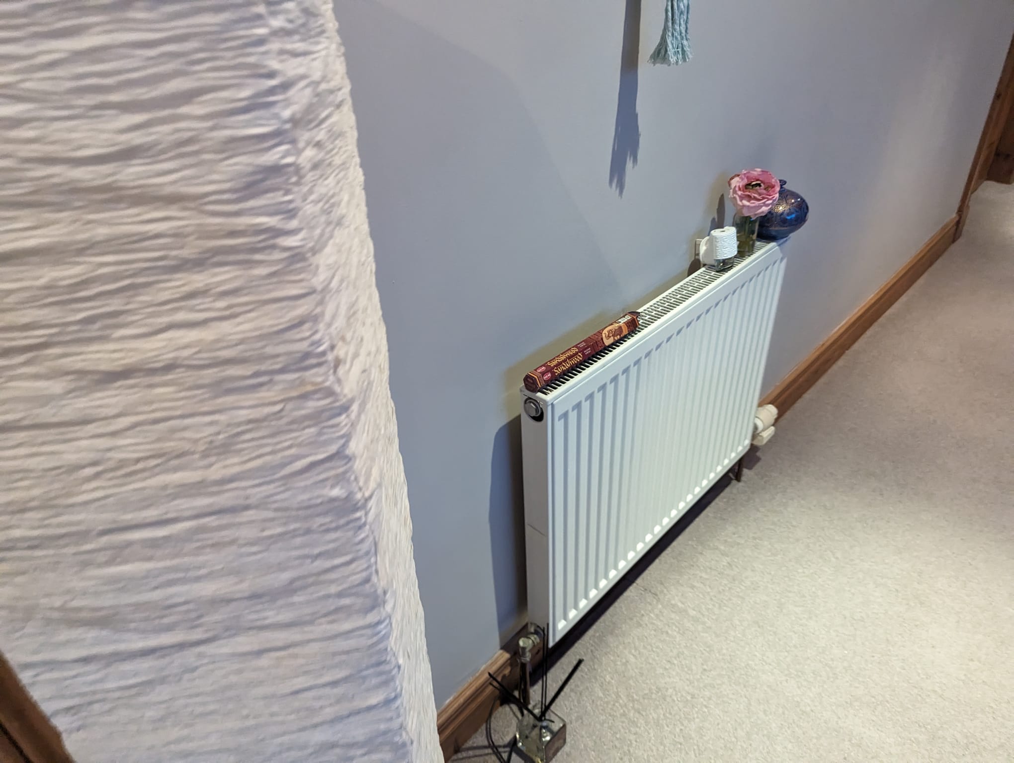 domestic painting & decorating service in alloa